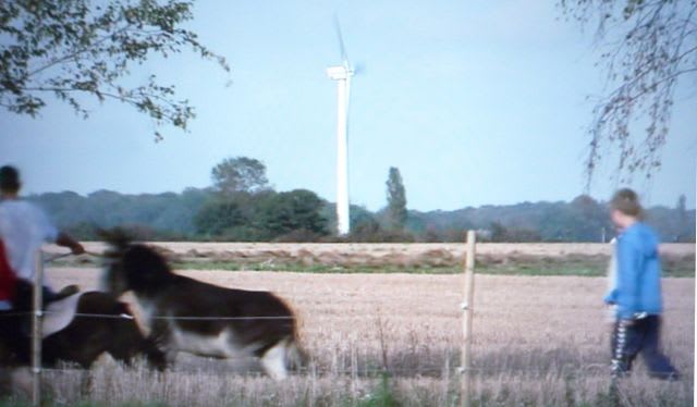 デンマーク農家の風力発電