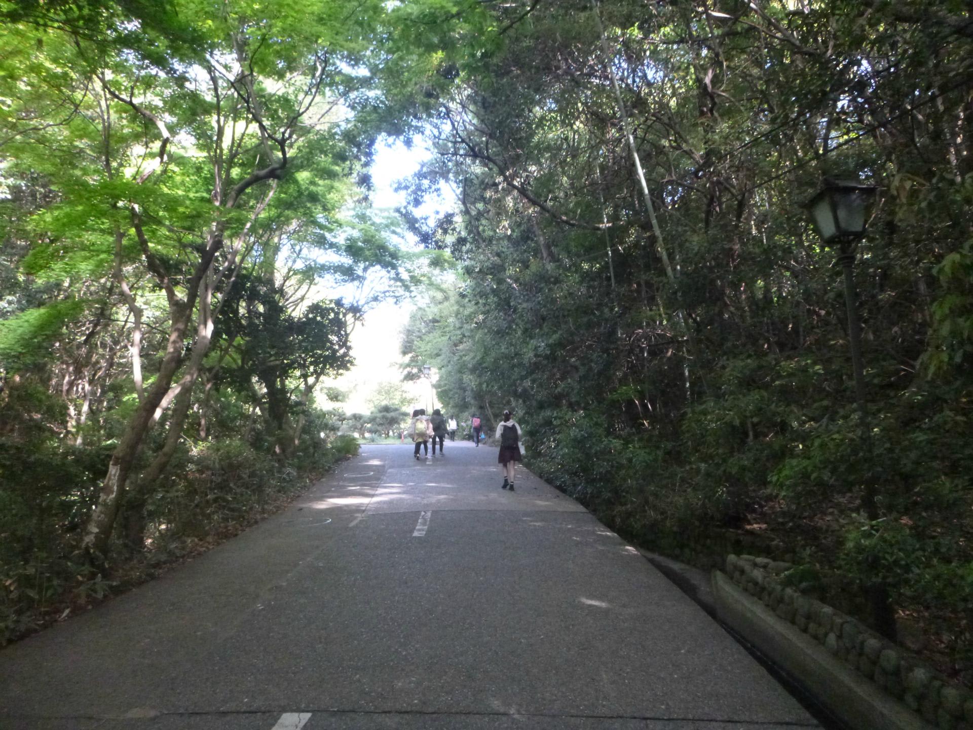 新緑溢れる神戸女学院の散策 講堂と新緑の庭園 ケルビム Khsでゆくフォトマップブログ 自転車で巡る阪神間の道と街
