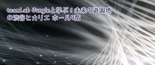 夏の夜に 都内で楽しむ壮大な光と音のフェスティバル ーteamlab Jungleと学ぶ 未来の遊園地 渋谷ヒカリエ 今週末は何を観よう 夏の夜に 都内で楽しむ壮大な光と音のフェスティバル ーteamlab Jungleと学ぶ 未来の遊園地 渋谷ヒカリエ 今週末は何を観よう