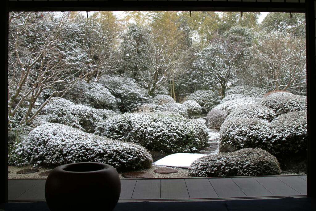 雪が降る～・・・そのⅢの画像