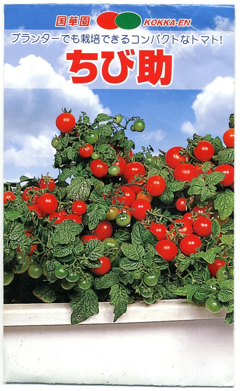 ２０１０年 トマトの栽培日記 釧路の家庭菜園