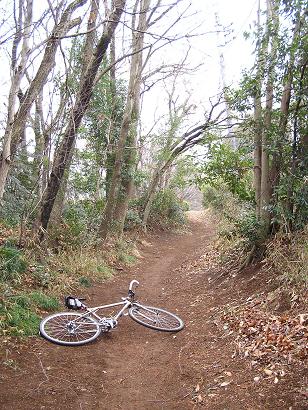 所沢　サイクリング