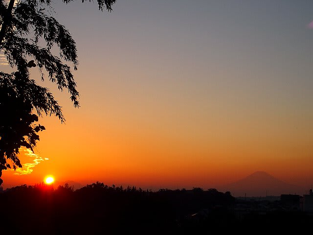 秋の夕焼けと富士山 庭先の四季 秋の夕焼けと富士山 庭先の四季