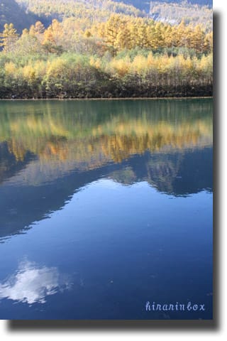 大正池 水面に写る落葉松