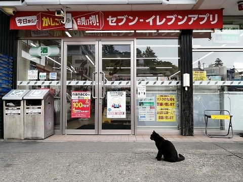 草津温泉は黒猫天国 横浜肉球倶楽部