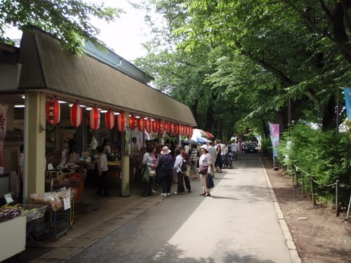 本土寺 今日もどこかで Goo 本土寺 今日もどこかで Goo