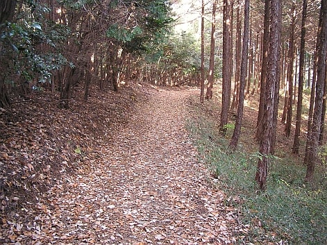 阿須丘陵 古道 阿須丘陵 古道