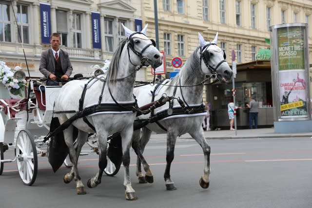 谷本ためひろ　イタリーフローレンスの観光馬車 谷本ためひろ イタリーフローレンスの観光馬車 谷本ためひろ