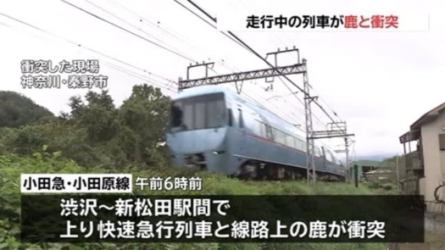 小田急線に鹿が飛び込み自殺 円ジョイ師匠とセタッシーの時事ネタ