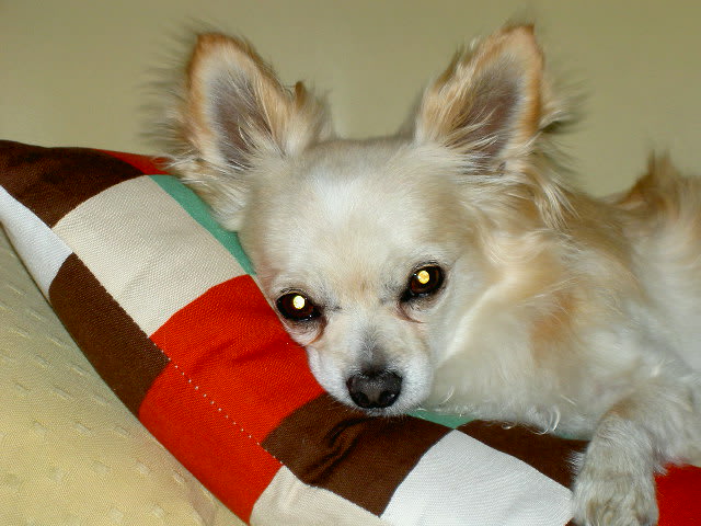 otukarechoko