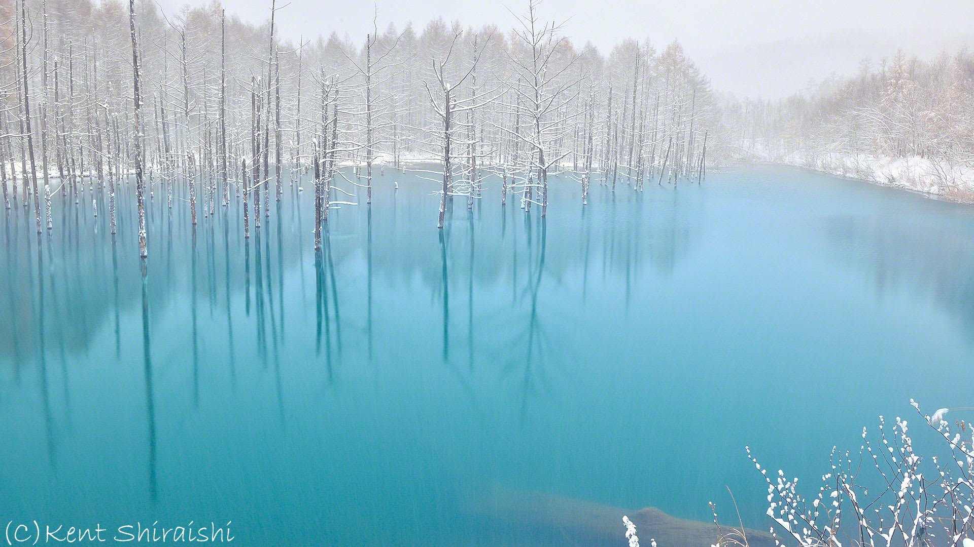 青い池と雪 Kent Shiraishi Photo Blog