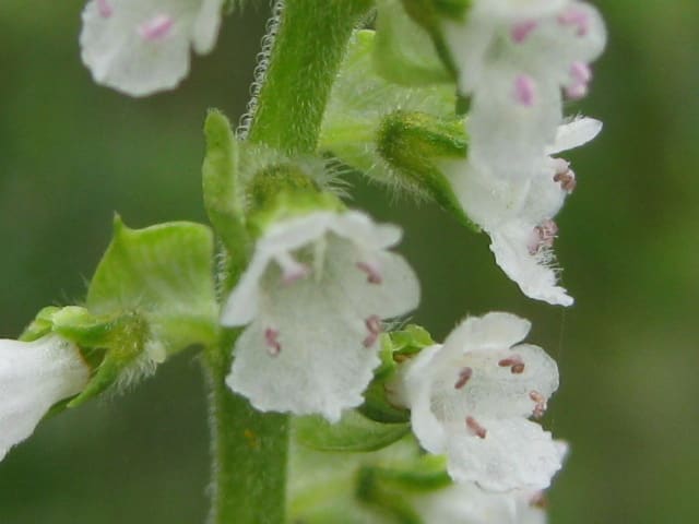 Photo_2 Photo_2