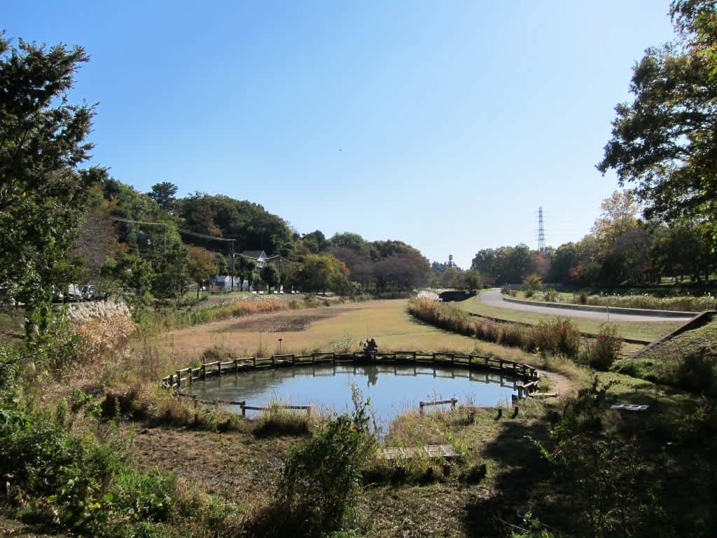 都立武蔵野公園 武蔵境散歩道 都立武蔵野公園 武蔵境散歩道