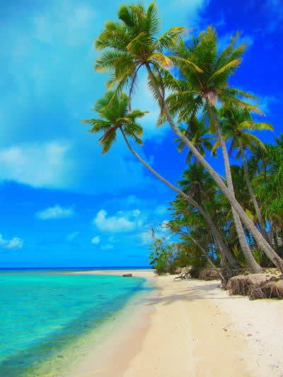 ピンクサンドビーチ ランギロア島 タヒチ モルディブ旅行専門店ブログ