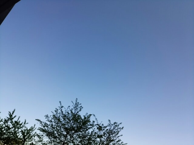 場所は落ち着くけど 脳天気なシッポ