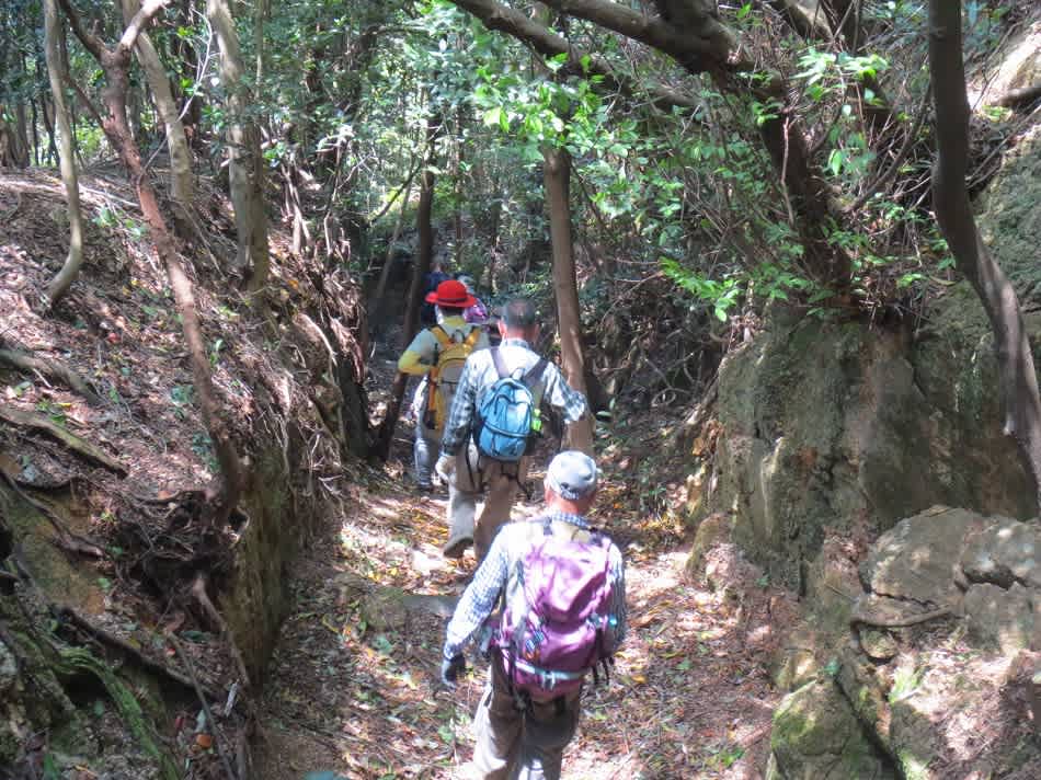 宮島 鷹ノ巣高砲台山登山 軍用道路 Up6日目 フルムーン日記