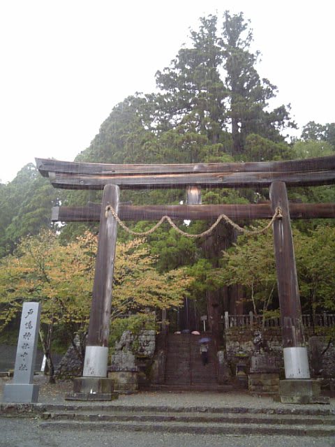 中社