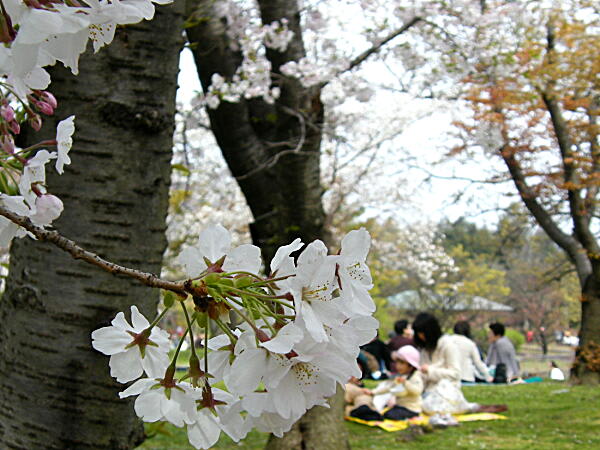 090406n6 090406n6