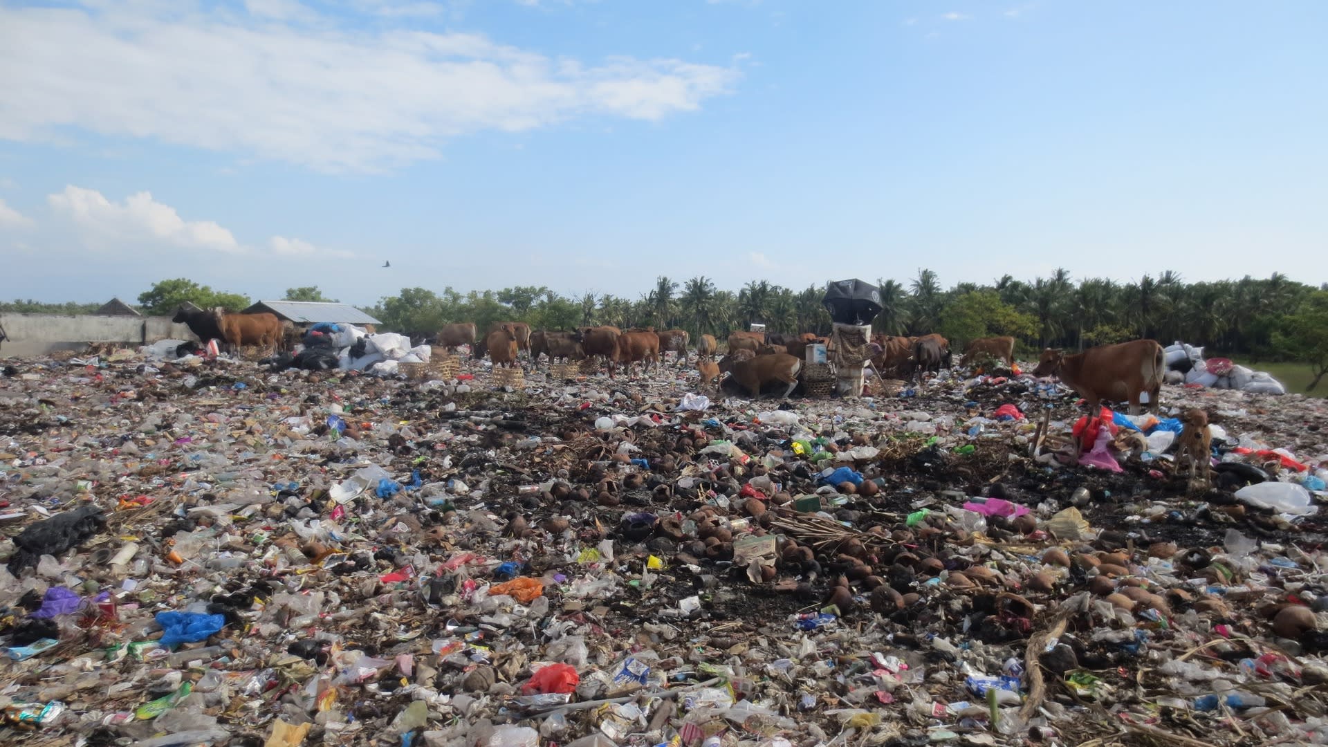 ごみ ごみ ごみの山 In Lombok ゆいツールブログ Npo法人ゆいツール開発工房 ラボ