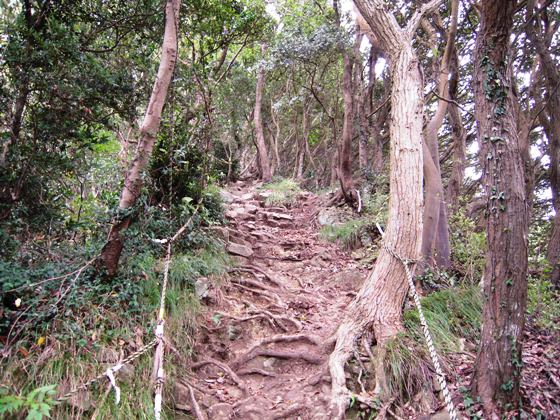 急な登り道