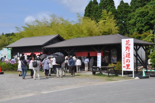 花野辺の里のあじさい 勝浦市串浜 日々あれこれ