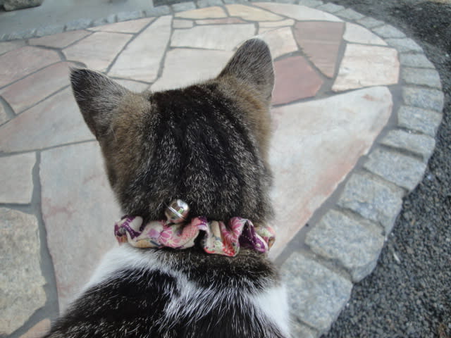 猫の首輪 シュシュ を作りました シニアのまったり生活