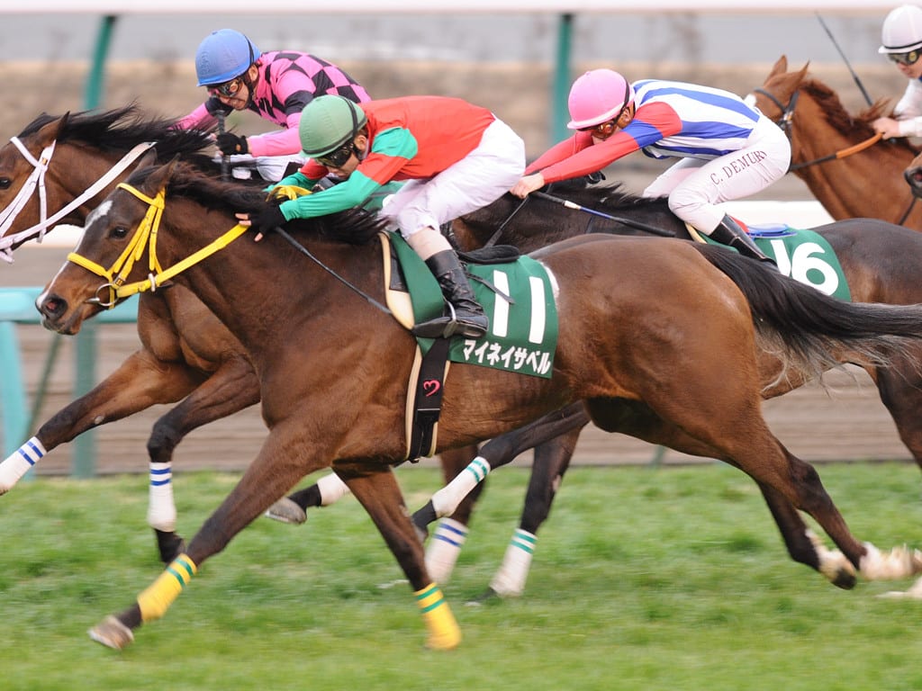 ローレル競馬場賞中山牝馬ステークス ｇｉｉｉ Ask Uma