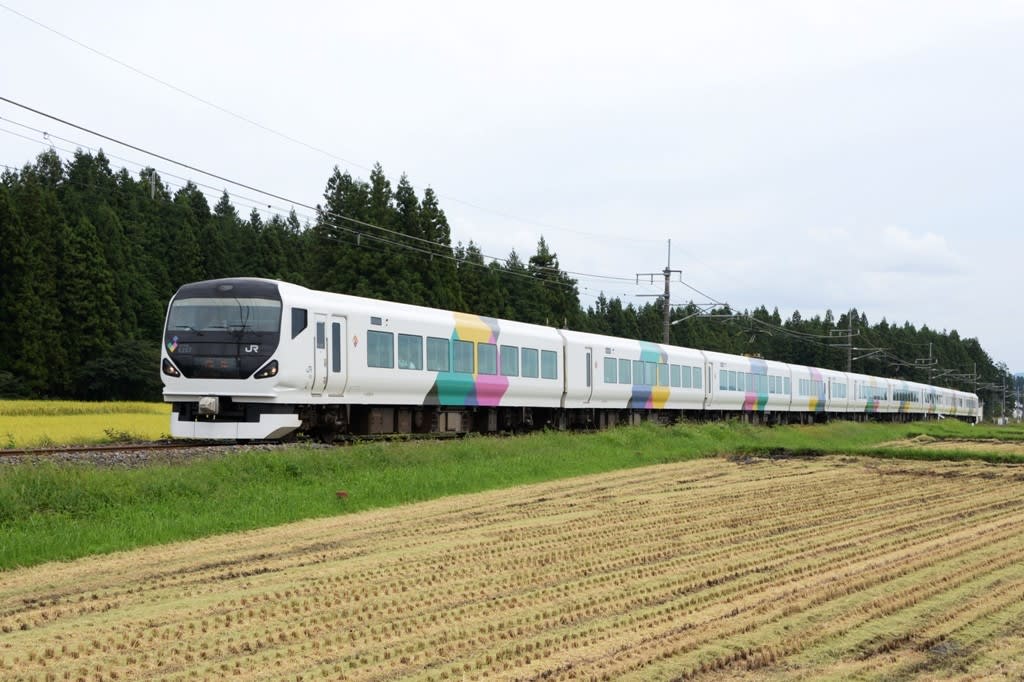 E257系の日光集約臨が始まりました わくわくグランディ鉄道ランド