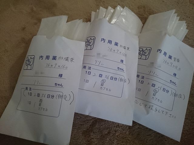 りりぃのためなら フォトダイアリー２