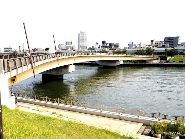 隅田川 隅田川唯一の歩道橋 桜橋には二羽のツルが飛んでいる 新イタリアの誘惑