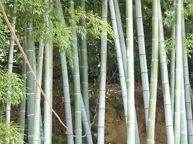 アンテナ工事 のブログ記事一覧 3ページ目 家電工事屋の日常 Kadenkoujiya Com アンテナ工事 のブログ記事一覧 3ページ目 家電工事屋の日常 Kadenkoujiya Com