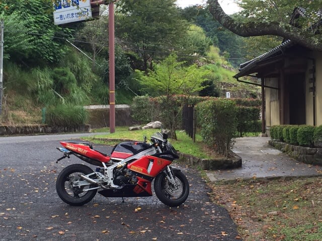 イメージ 7