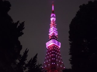 ピンクにライトアップされた東京タワー 雷神の街歩き