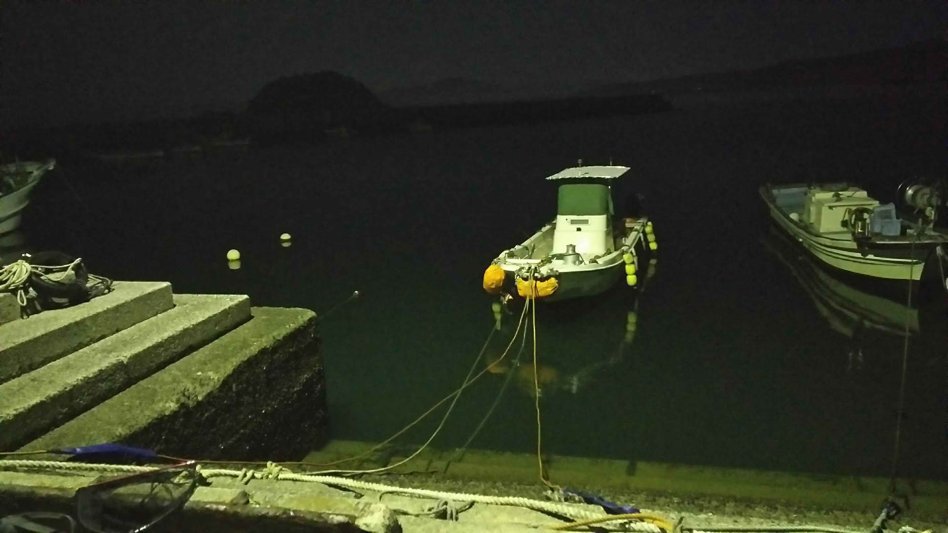 奇跡 同じ場所でまたツムギハゼ お魚三昧生活
