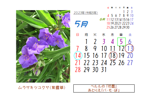 5月の花暦 Goo3