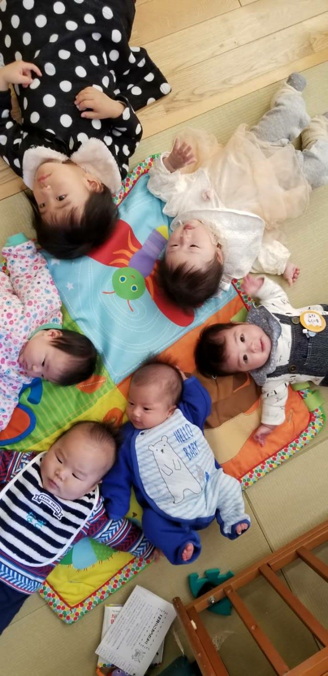 コアラ組さんとの交流 はぐくみクラブ コアラ組さんとの交流 はぐくみクラブ