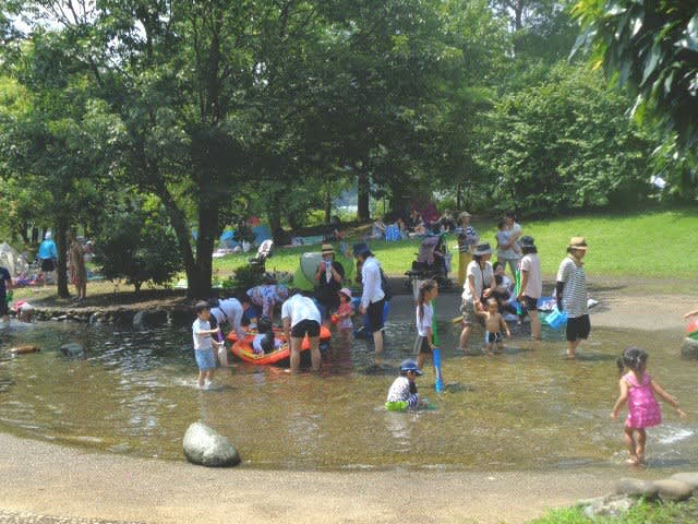 相模川自然の村公園で水遊びの子供たち 相模の国の散策だより 相模川自然の村公園で水遊びの子供たち 相模の国の散策だより