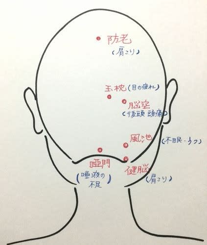 頭のツボ押し効果 後頭部のツボの効能 ヘッドスパ 頭皮ケア 東京 渋谷 新宿 Ritt S リッツ ブログ