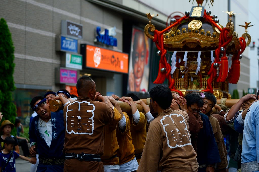 立川 諏訪神社例大祭 私の写真
