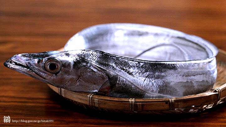 太刀魚のお刺身 月見叩き 鏡面界 魚食系女子の気まぐれ雑記帖