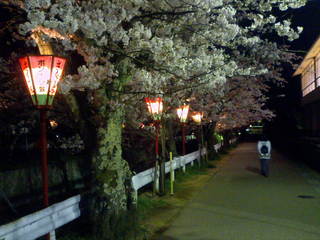 https://blogimg.goo.ne.jp/user_image/7b/dd/1aa496ebbccc6ef3f6407b900b47f177.jpg