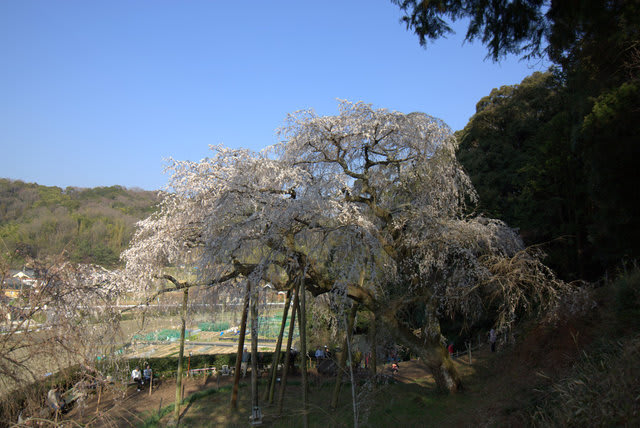 102A7974.jpg