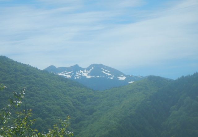 2017-06FU-0262.jpg