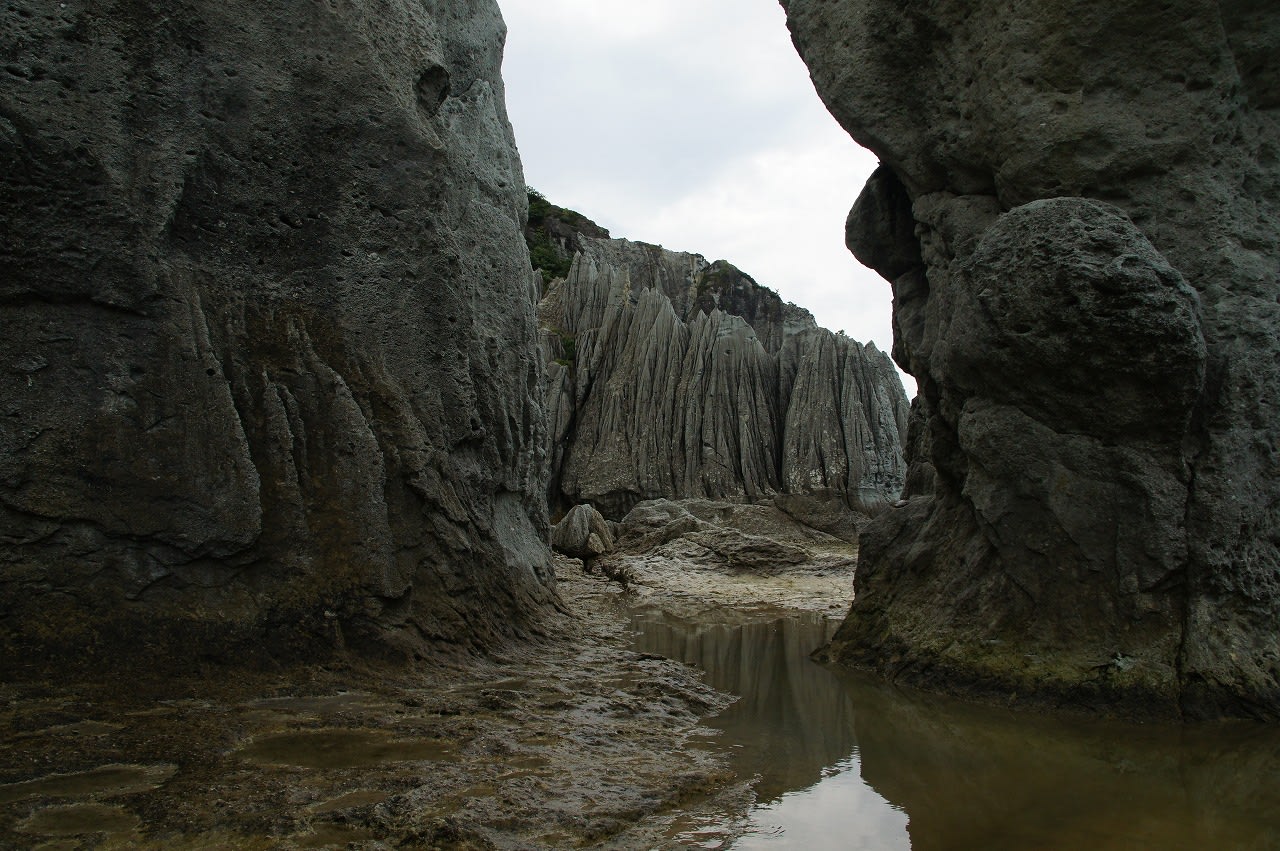 青森へ行って来ましたの画像