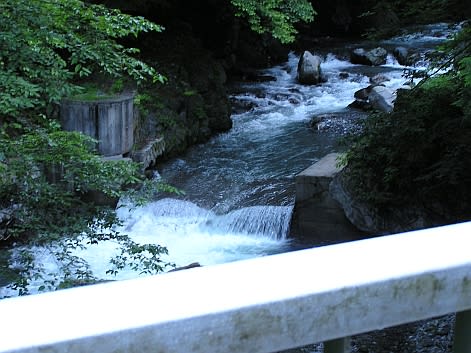 鷹ノ巣山　稲村尾根