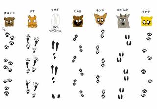 2 7 日 冬の里山歩き のご案内2 動物の足跡 高野原へようこそ 2 7 日 冬の里山歩き のご案内2 動物の足跡 高野原へようこそ