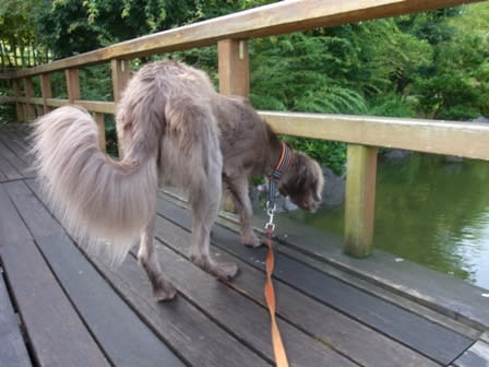 2012062620.jpg