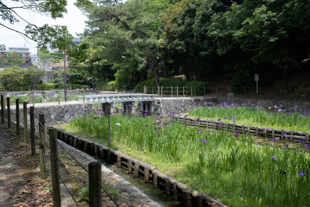 FUJIFILM X100V