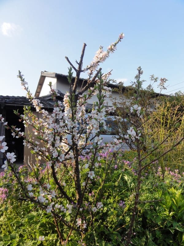 Dsc00541 Dsc00541