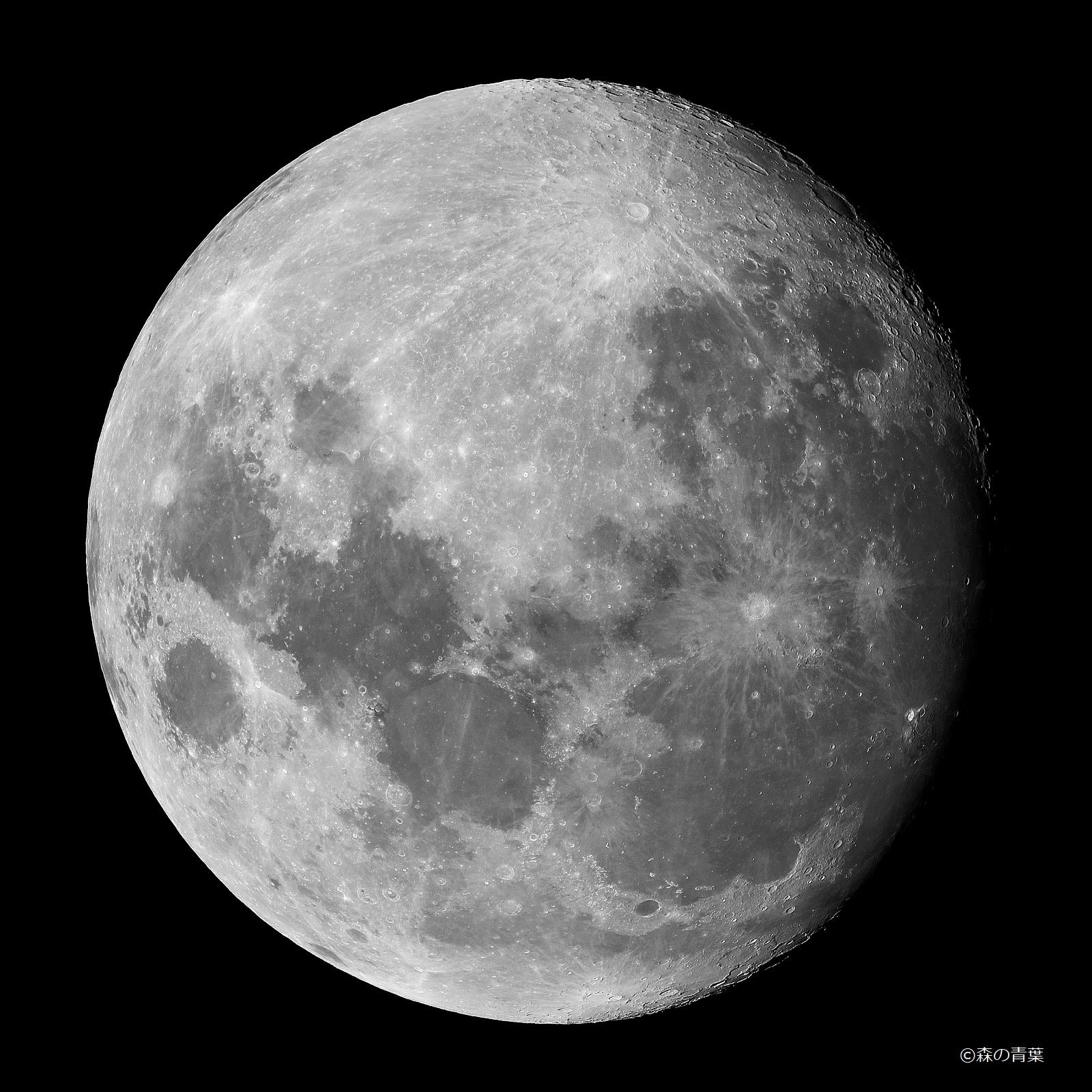 満月 8月13日（月齢12.3）の月 - 森の青葉 Ⅱ－BORGで身近な月・太陽